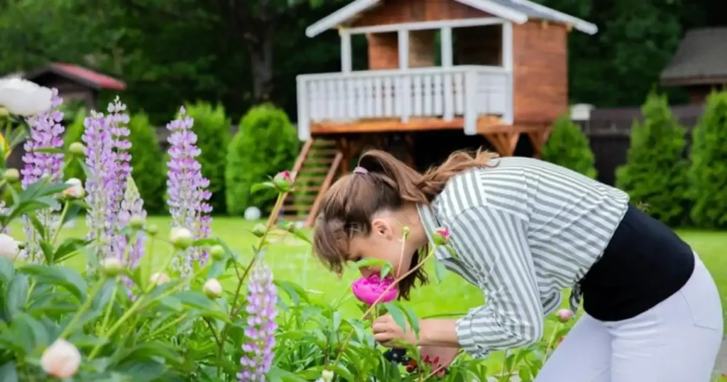 House in garden